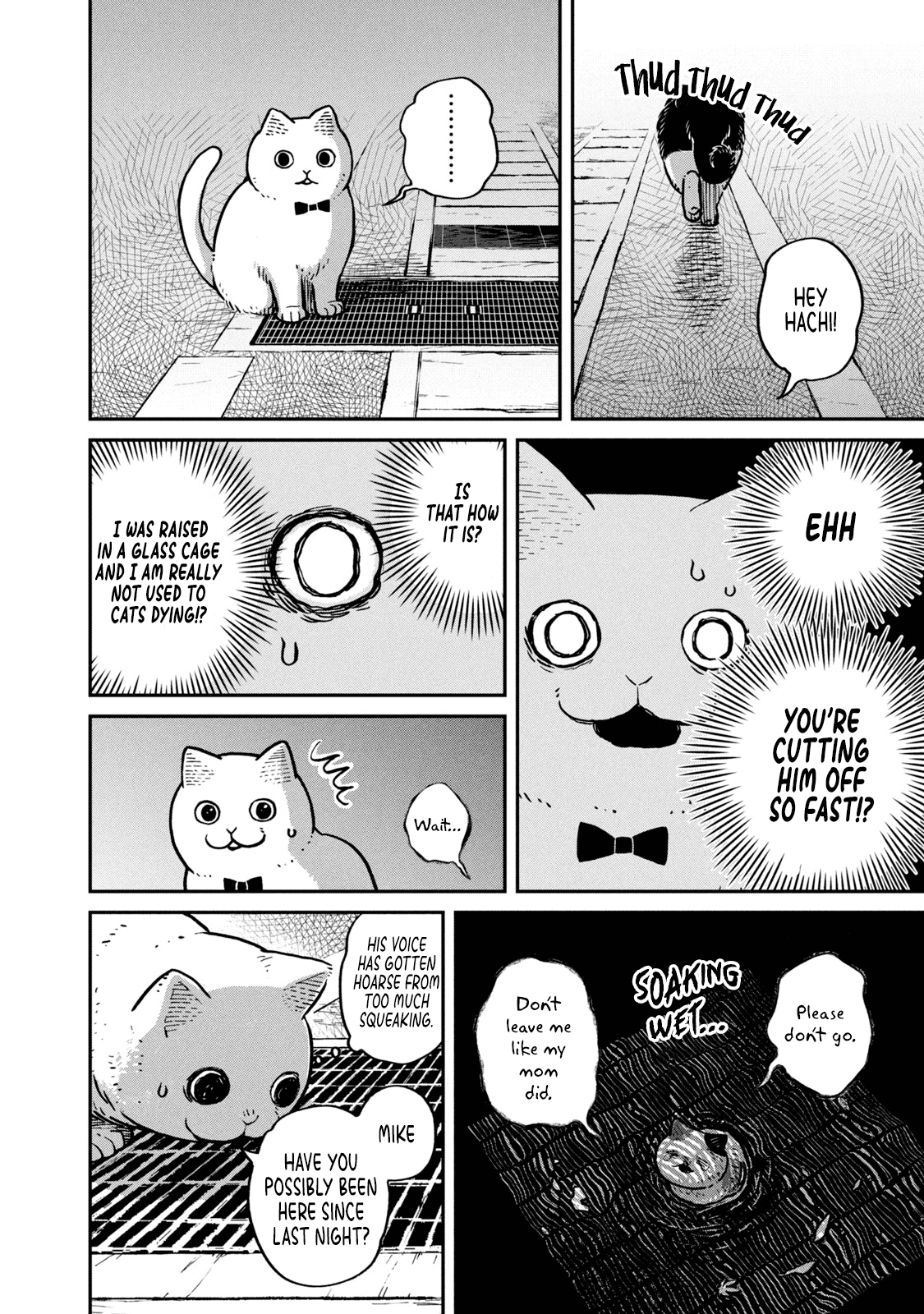 Cat Partners: Maruru and Hachi Chapter 6 page 9 - Chapter 6: Mike's rescue mission