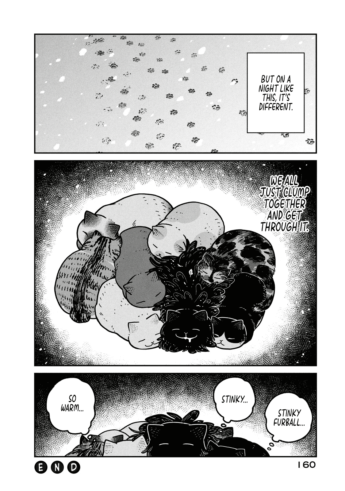 Cat Partners: Maruru and Hachi Chapter 7 page 13 - Chapter 7: The helpless night