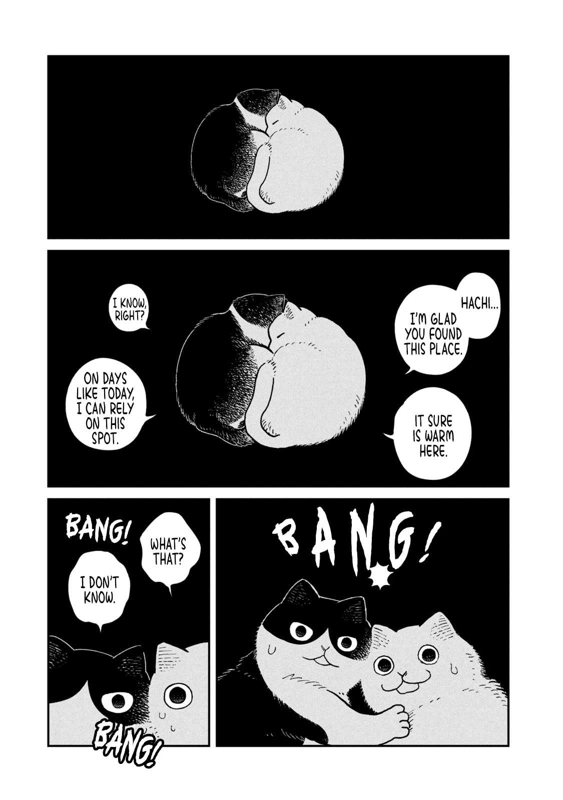 Cat Partners: Maruru and Hachi Chapter 7 page 8 - Chapter 7: The helpless night