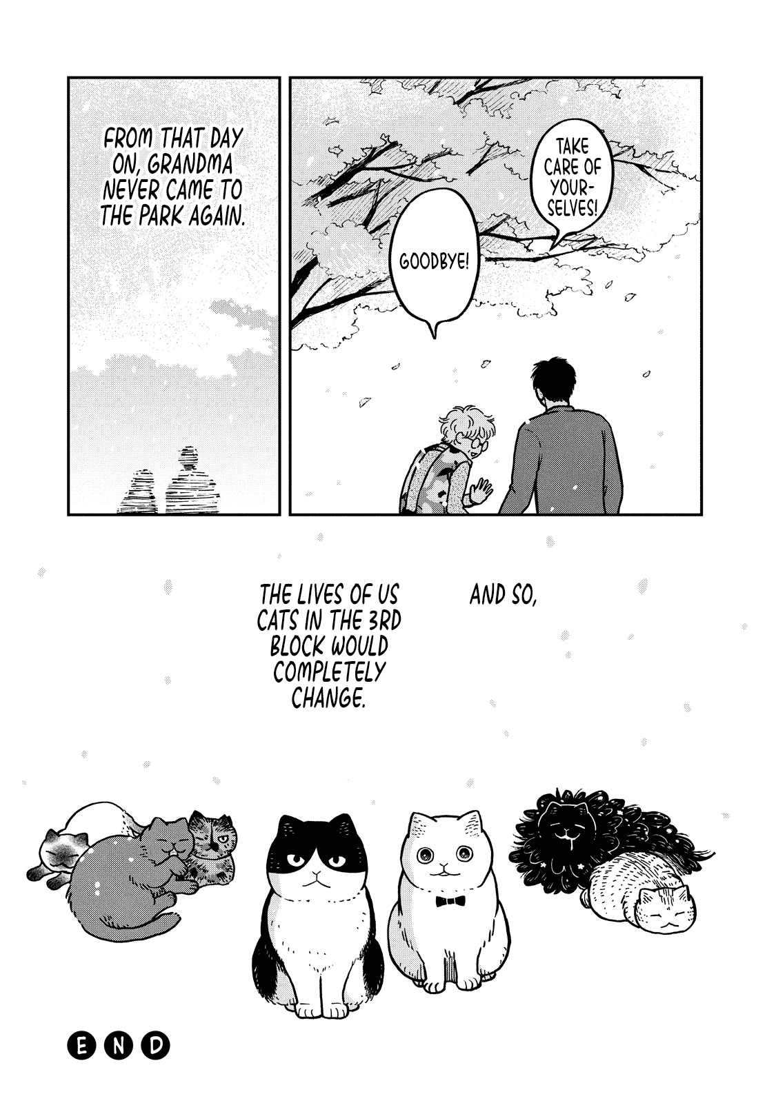 Cat Partners: Maruru and Hachi Chapter 8 page 12 - Chapter 8: Spring has come