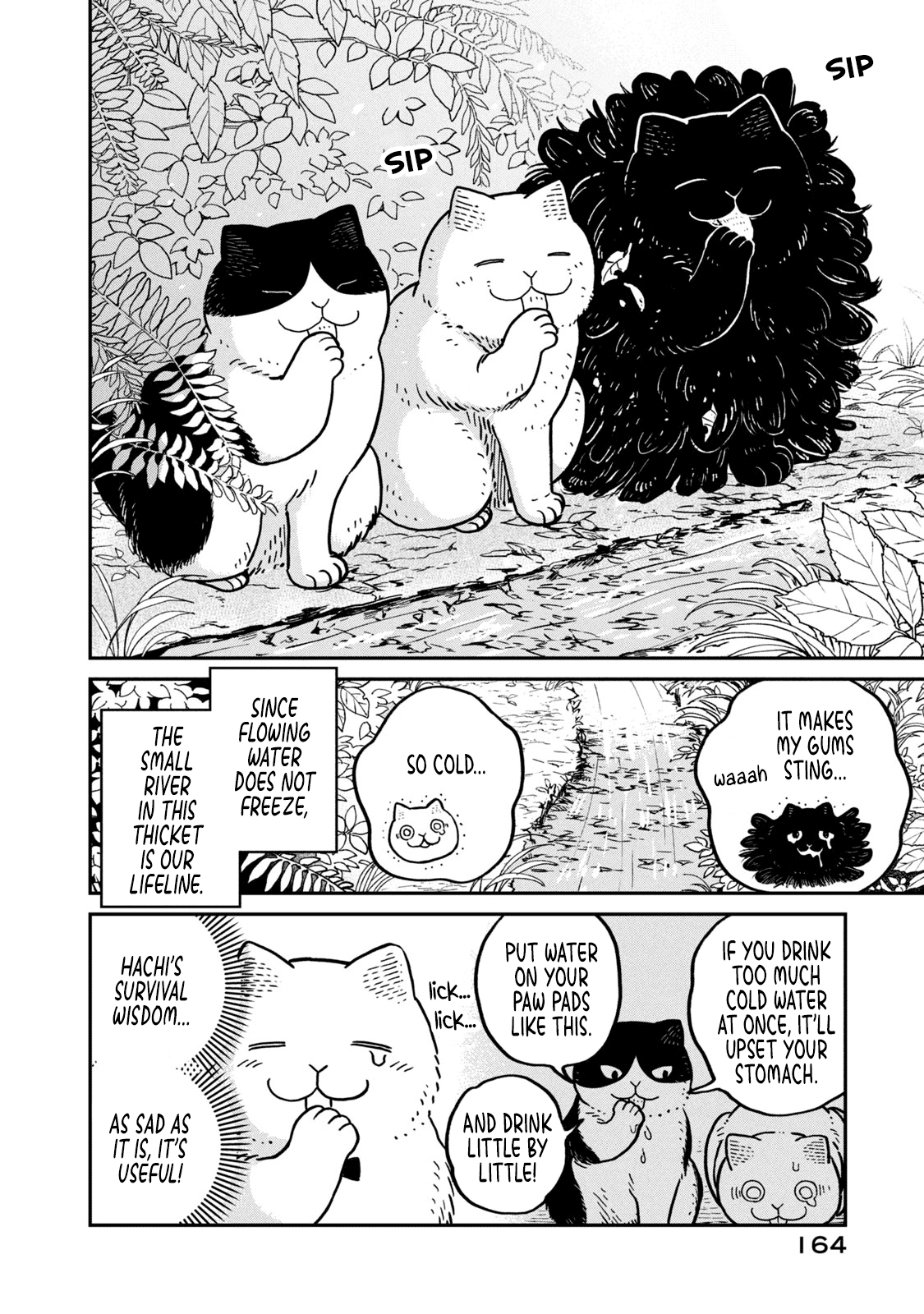 Cat Partners: Maruru and Hachi Chapter 8 page 3 - Chapter 8: Spring has come