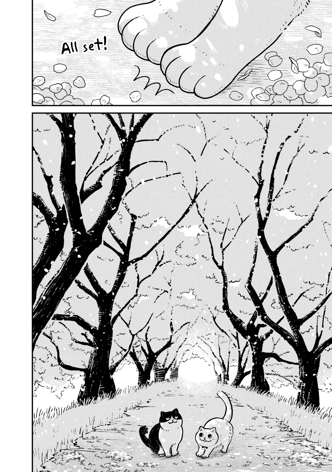 Cat Partners: Maruru and Hachi Chapter 8 page 5 - Chapter 8: Spring has come