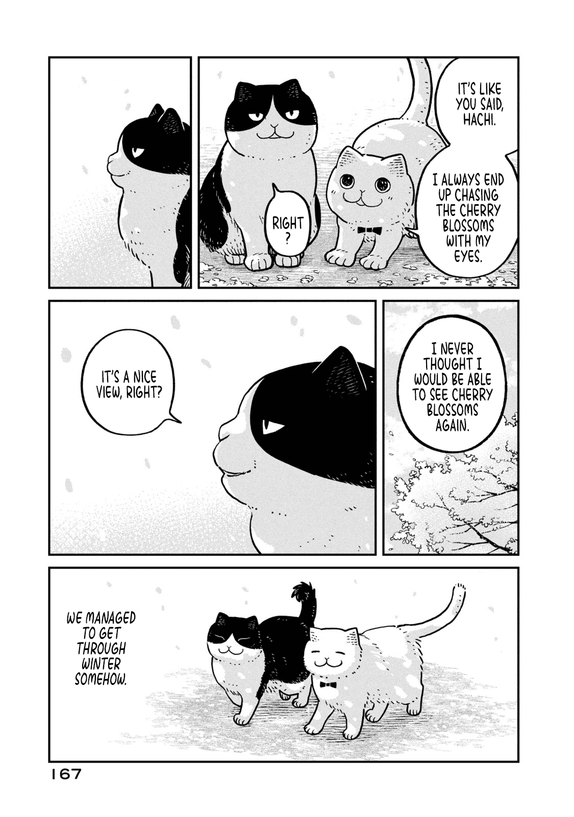 Cat Partners: Maruru and Hachi Chapter 8 page 6 - Chapter 8: Spring has come