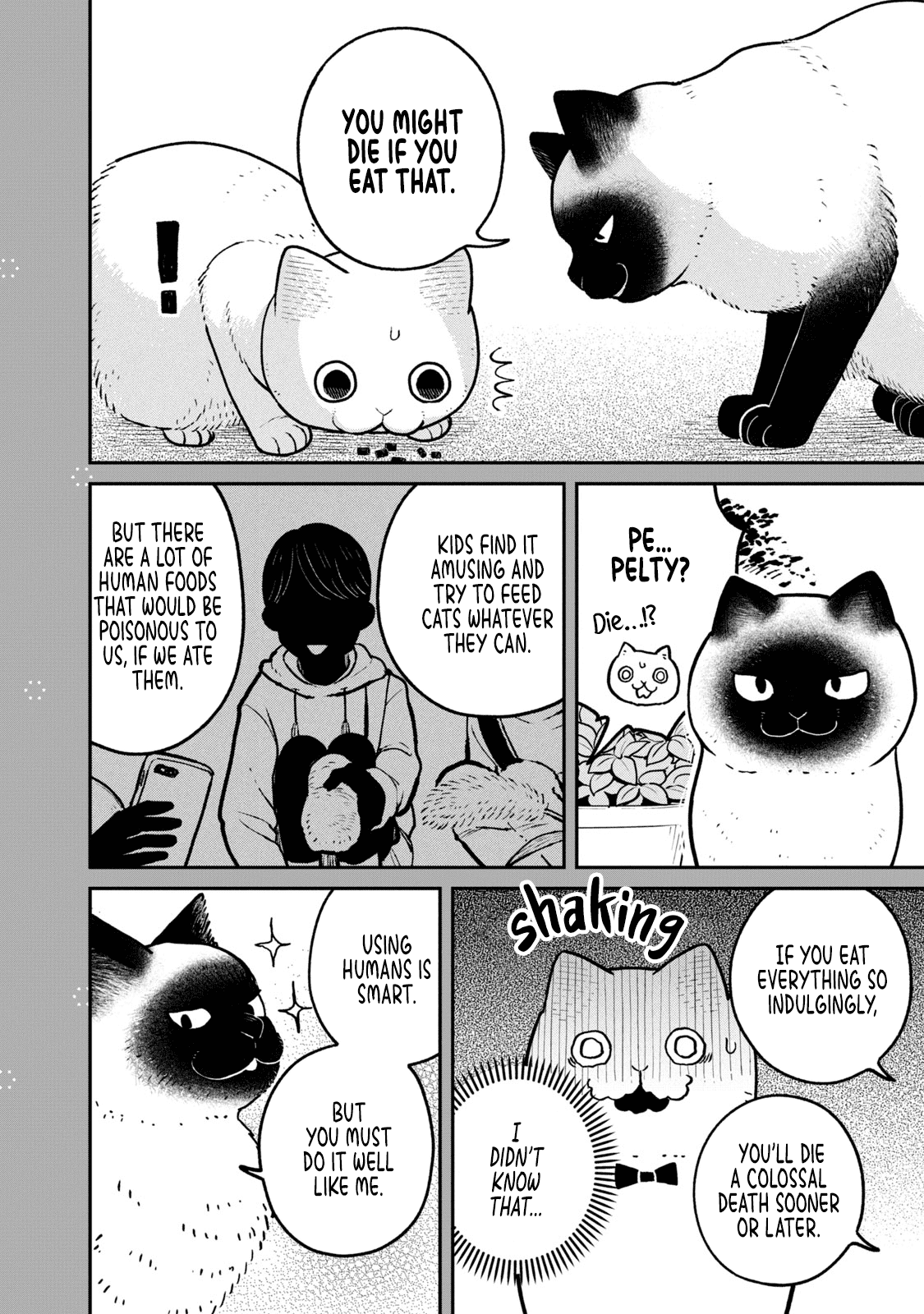 Cat Partners: Maruru and Hachi Chapter 9.2 page 2 - Chapter 9.2: Bonus chapter: Learning from Pelty