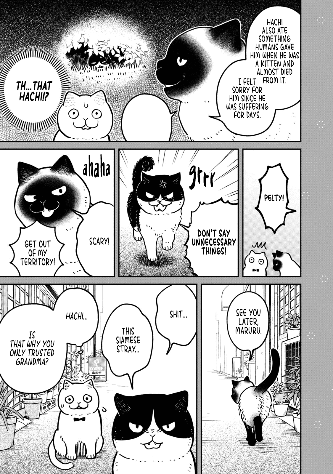 Cat Partners: Maruru and Hachi Chapter 9.2 page 3 - Chapter 9.2: Bonus chapter: Learning from Pelty