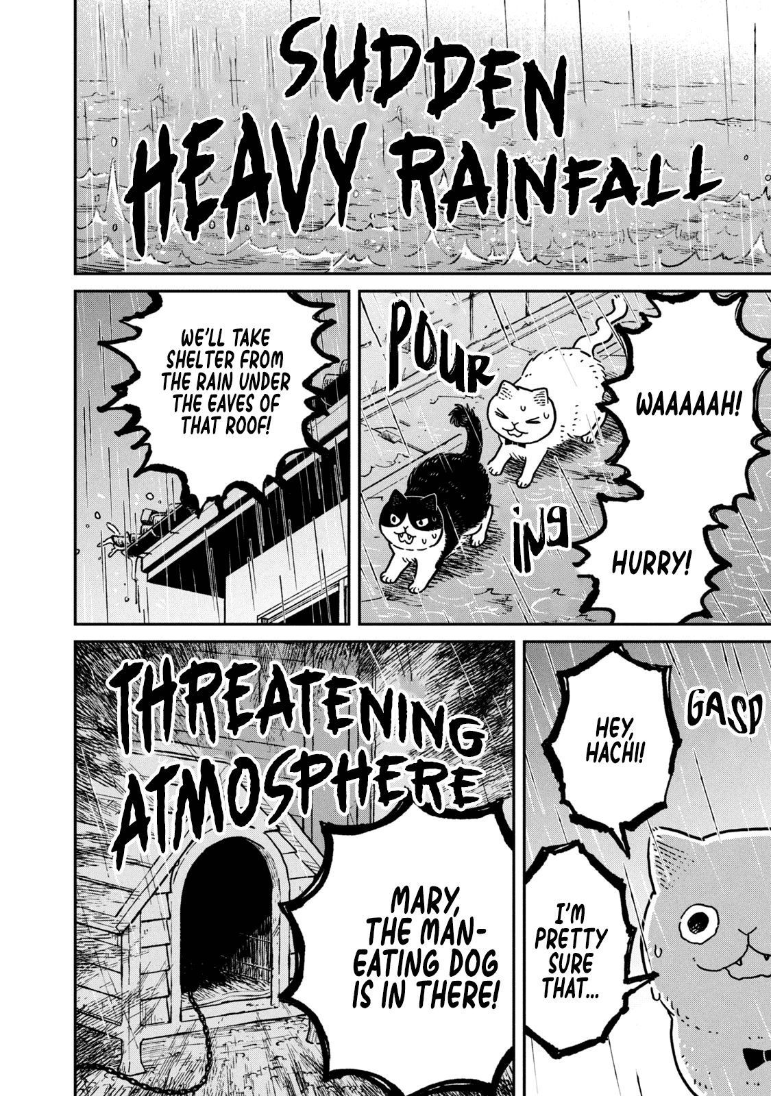 Cat Partners: Maruru and Hachi Chapter 9 page 12 - Chapter 9: Pelty the Wandering cat