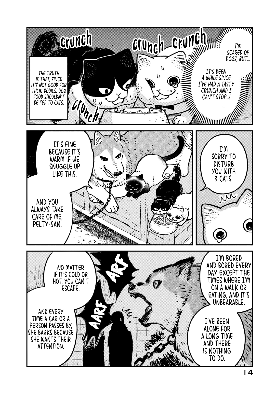 Cat Partners: Maruru and Hachi Chapter 9 page 13 - Chapter 9: Pelty the Wandering cat
