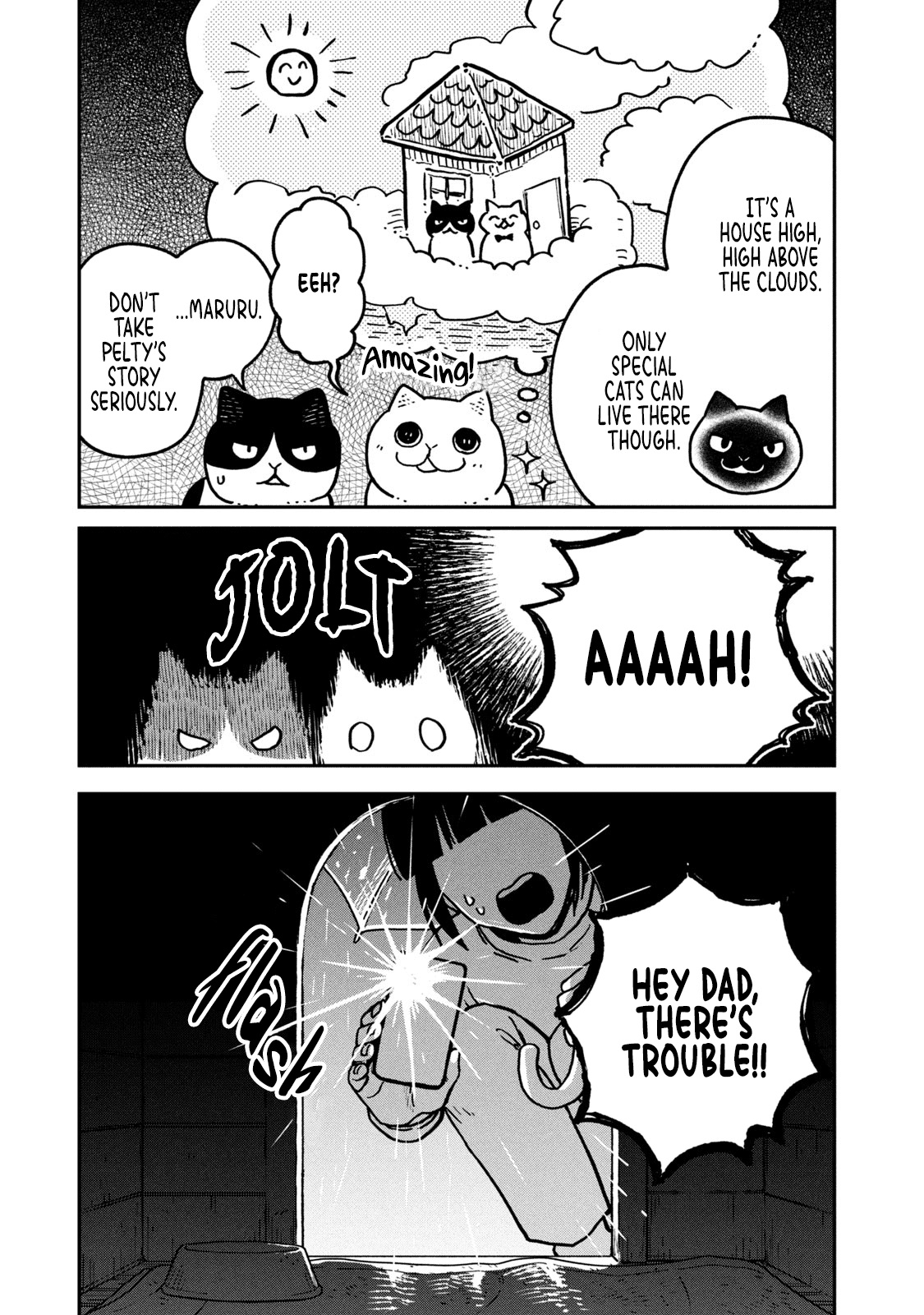 Cat Partners: Maruru and Hachi Chapter 9 page 15 - Chapter 9: Pelty the Wandering cat