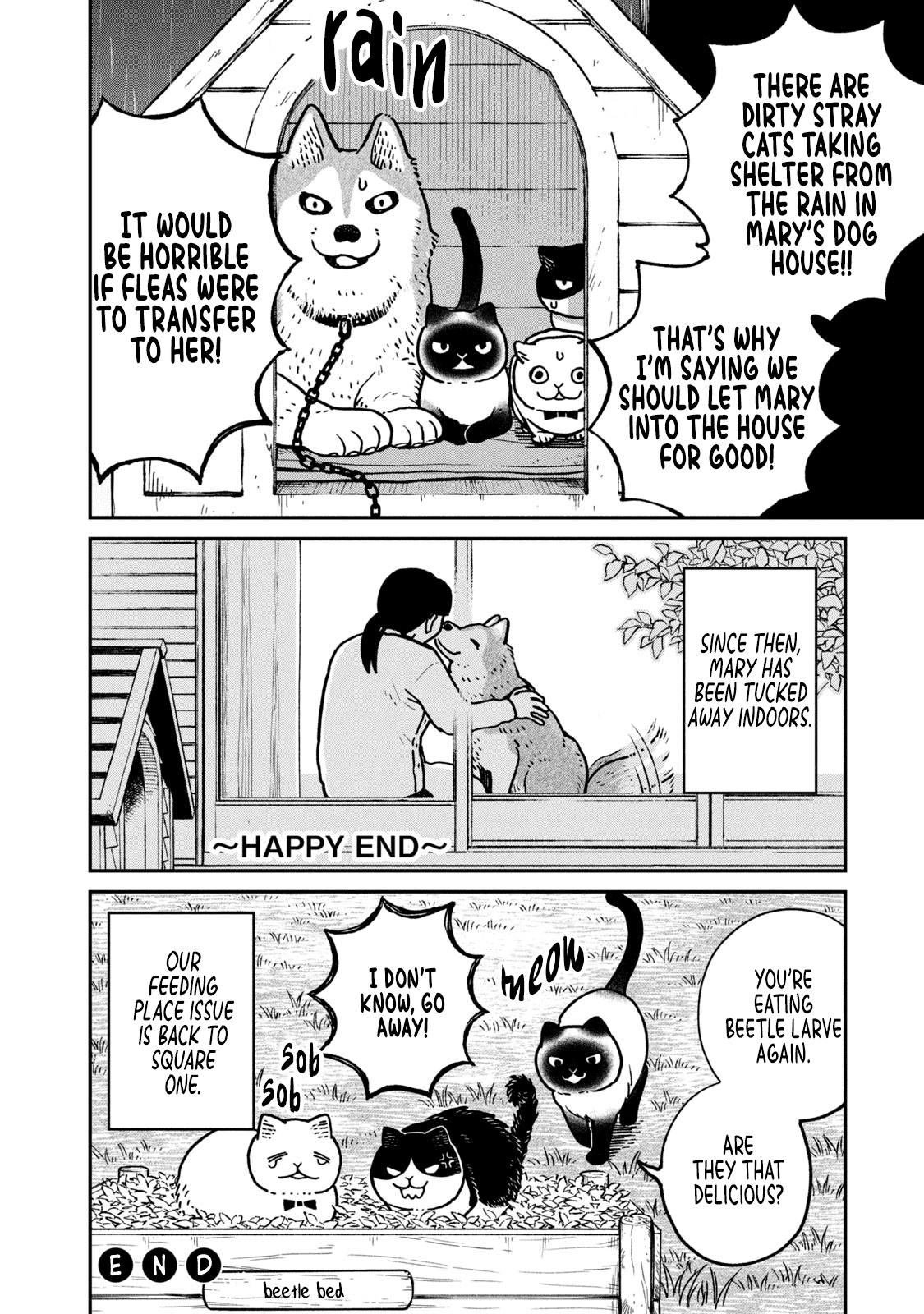 Cat Partners: Maruru and Hachi Chapter 9 page 16 - Chapter 9: Pelty the Wandering cat