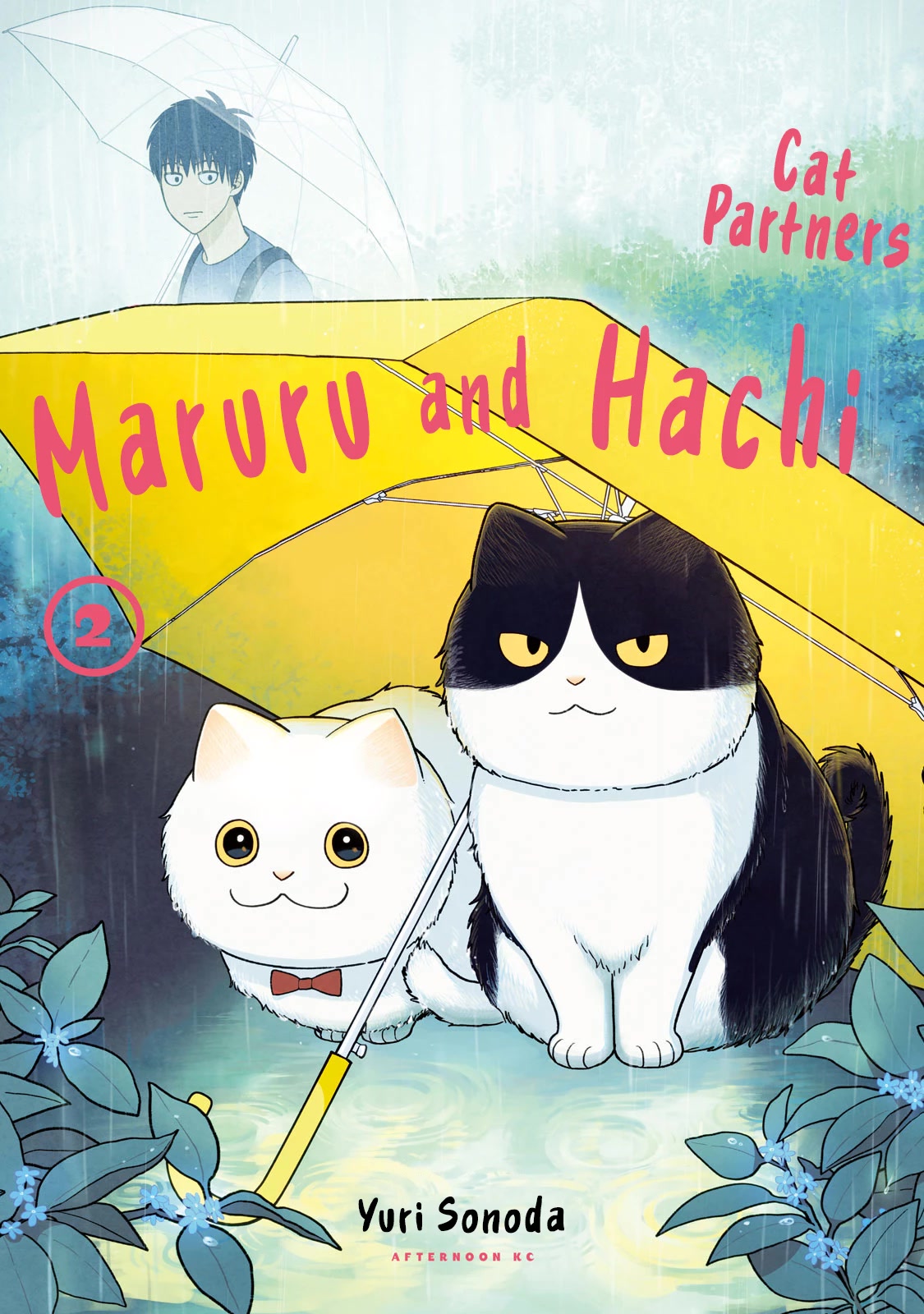 Cat Partners: Maruru and Hachi Chapter 9 page 2 - Chapter 9: Pelty the Wandering cat