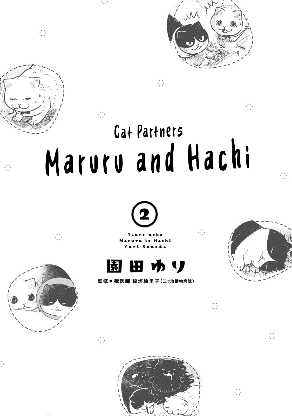 Cat Partners: Maruru and Hachi Chapter 9 page 3 - Chapter 9: Pelty the Wandering cat