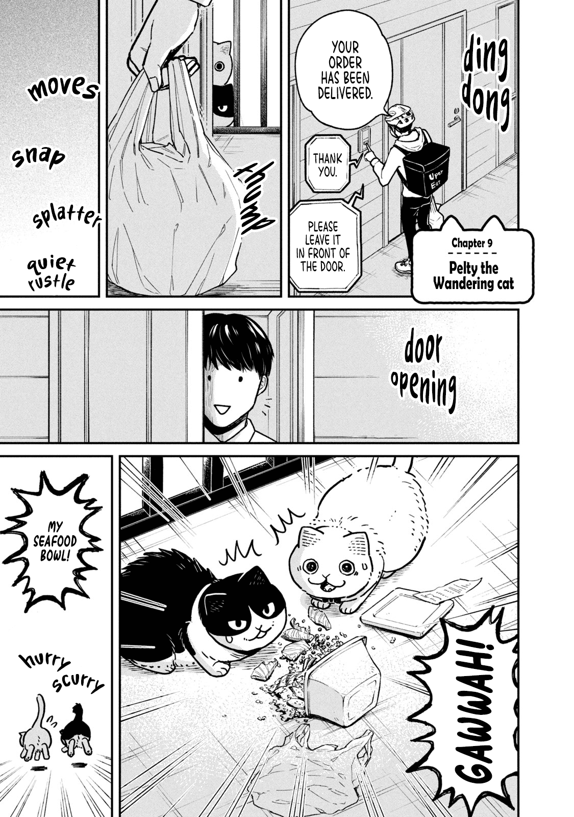 Cat Partners: Maruru and Hachi Chapter 9 page 5 - Chapter 9: Pelty the Wandering cat