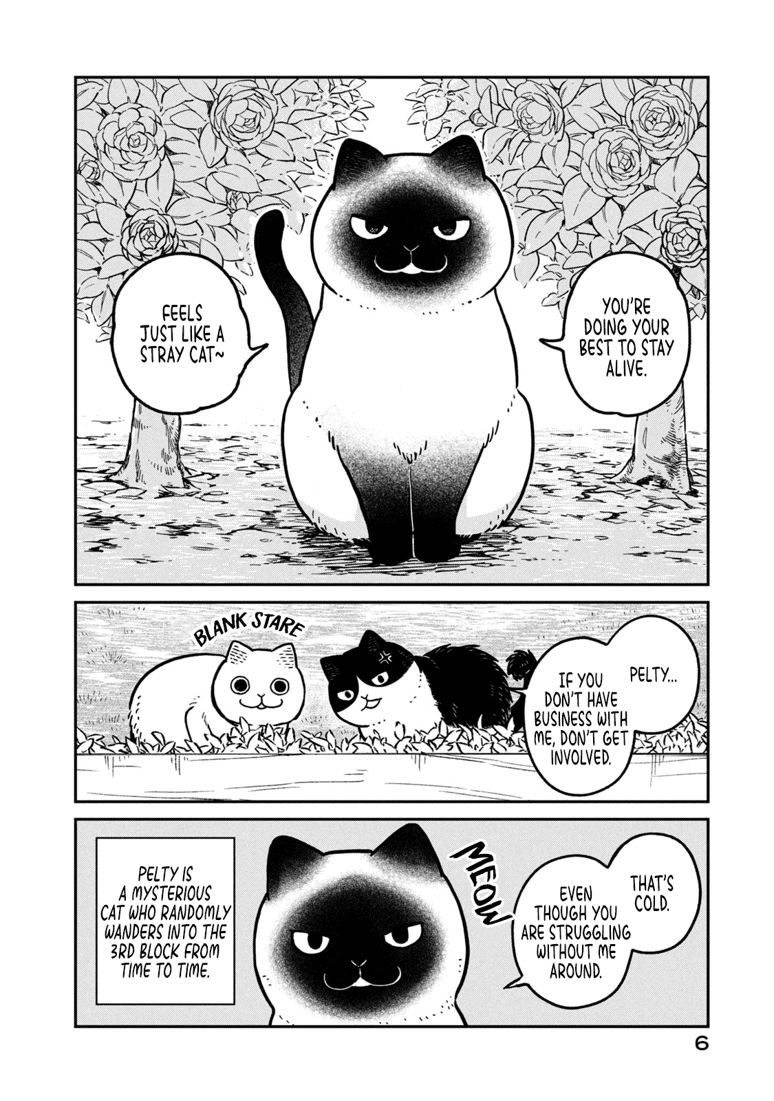 Cat Partners: Maruru and Hachi Chapter 9 page 8 - Chapter 9: Pelty the Wandering cat