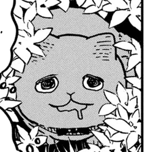 Cat Partners: Maruru and Hachi Chapter 9: Pelty the Wandering cat cover