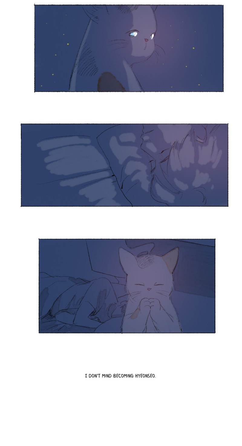 Catboy Catday Chapter 30 page 14 - Chapter 30 : Reason of the Wish
