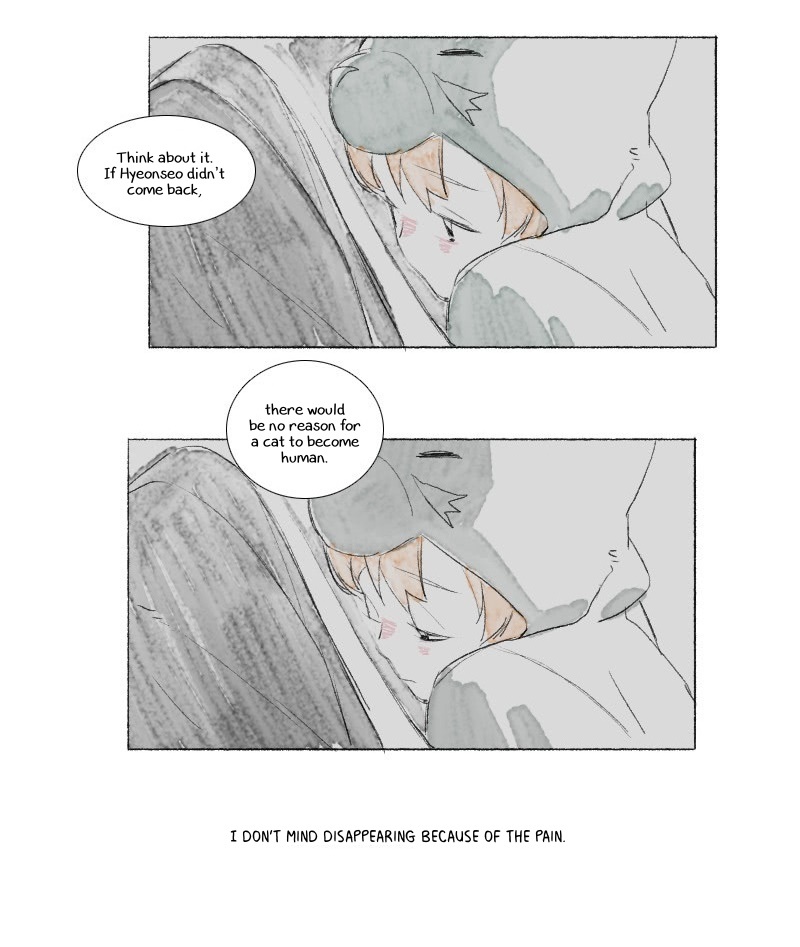Catboy Catday Chapter 30 page 17 - Chapter 30 : Reason of the Wish