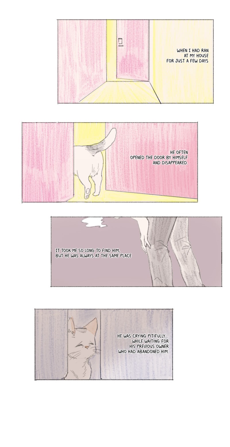Catboy Catday Chapter 33 page 19 - Chapter 33: What