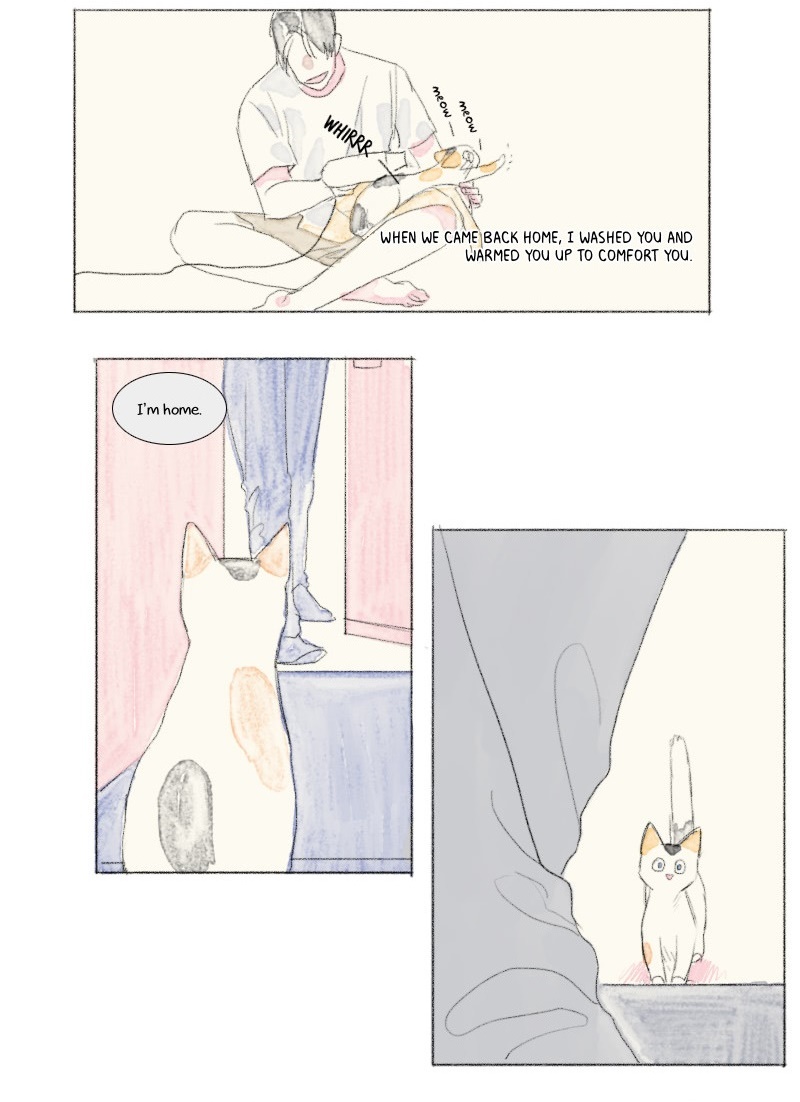 Catboy Catday Chapter 34 page 5 - Chapter 34: A Step Further
