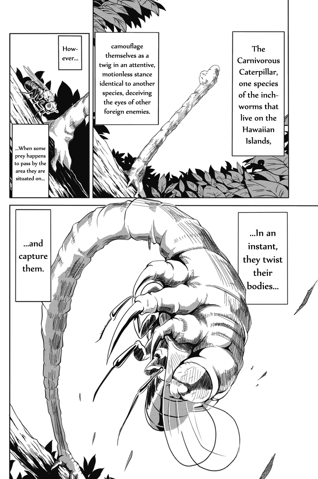 Caterpillar Chapter 1 page 30 - Chapter 1