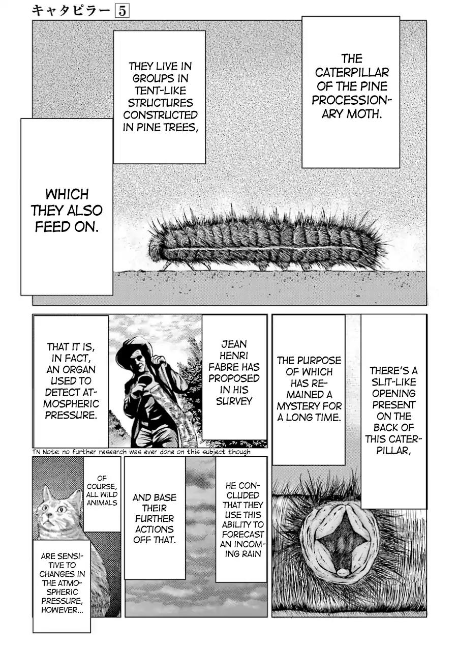 Caterpillar Chapter 37 page 17 - Chapter 37: You've Failed ♡