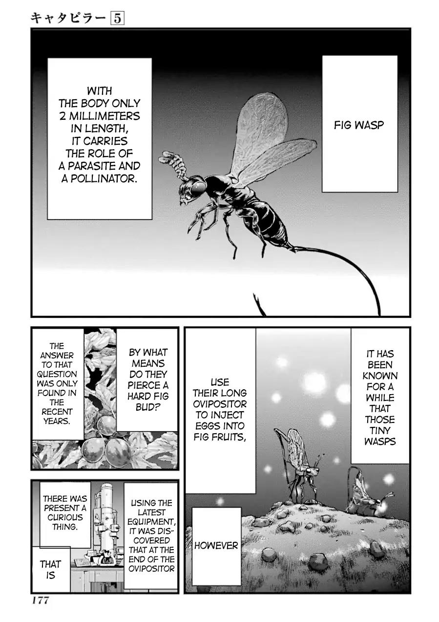 Caterpillar Chapter 41 page 2 - Chapter 41: I Will Kill This Girl