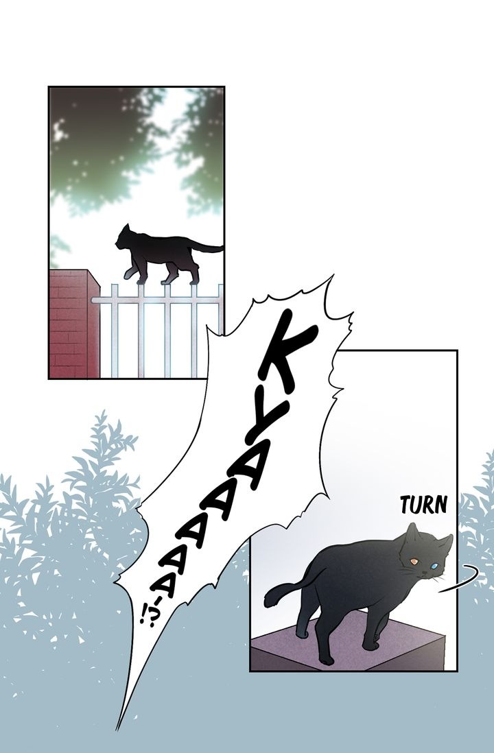 Cat's Bride Chapter 2 page 46 - Chapter 2