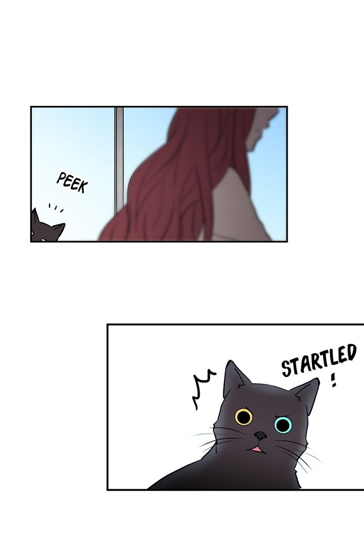 Cat's Bride Chapter 2 page 47 - Chapter 2