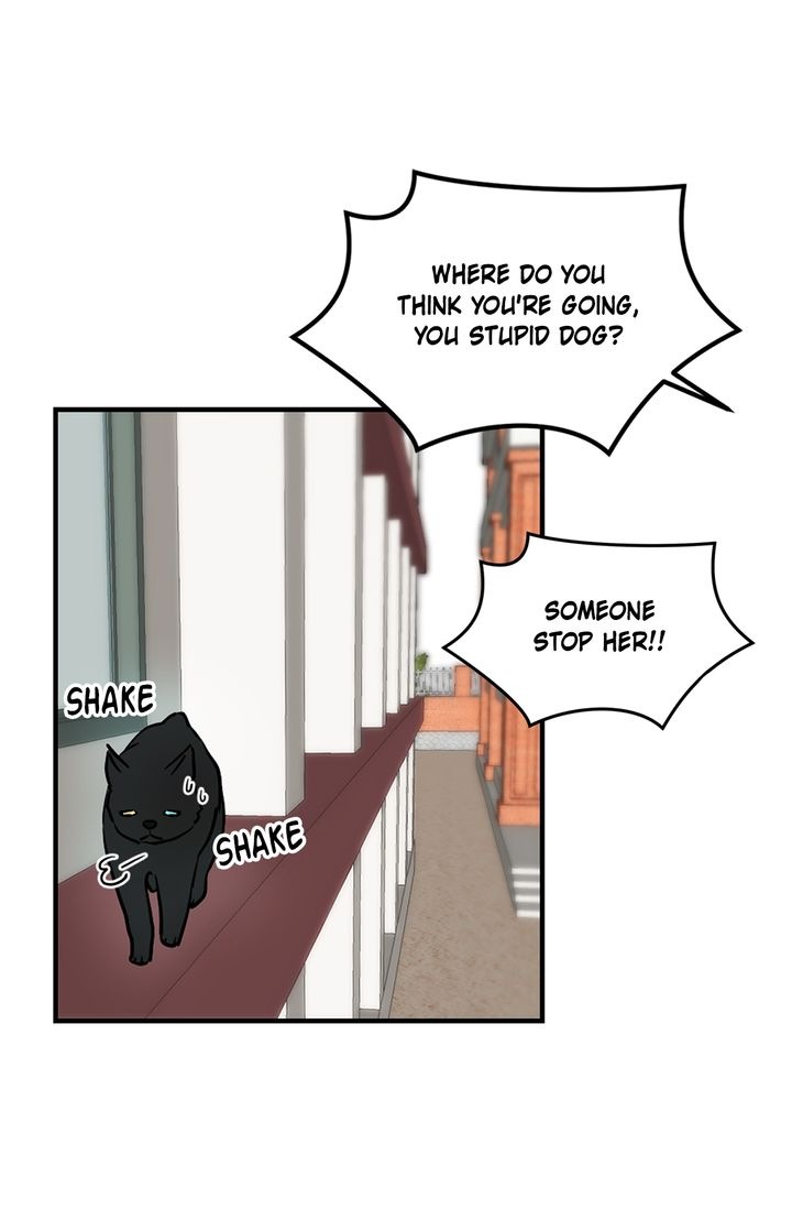Cat's Bride Chapter 2 page 50 - Chapter 2
