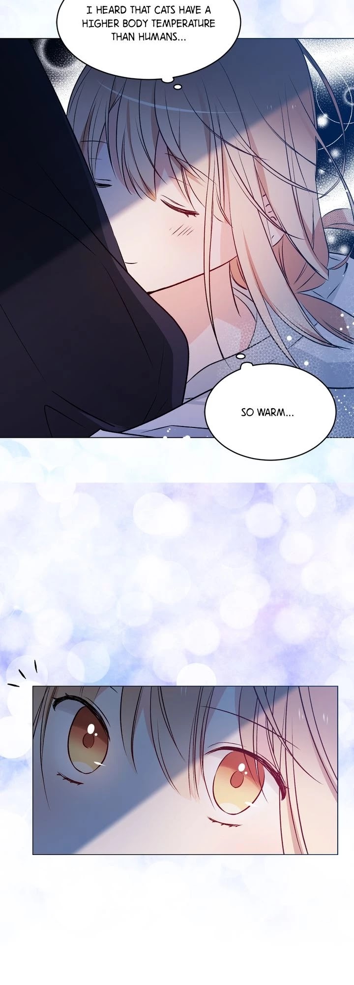 Cat's Bride Chapter 30 page 20 - Chapter 30