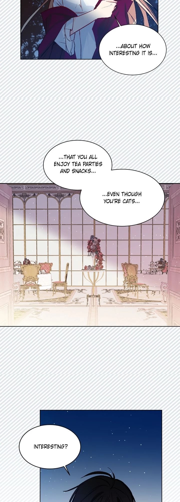 Cat's Bride Chapter 41 page 3 - Chapter 41
