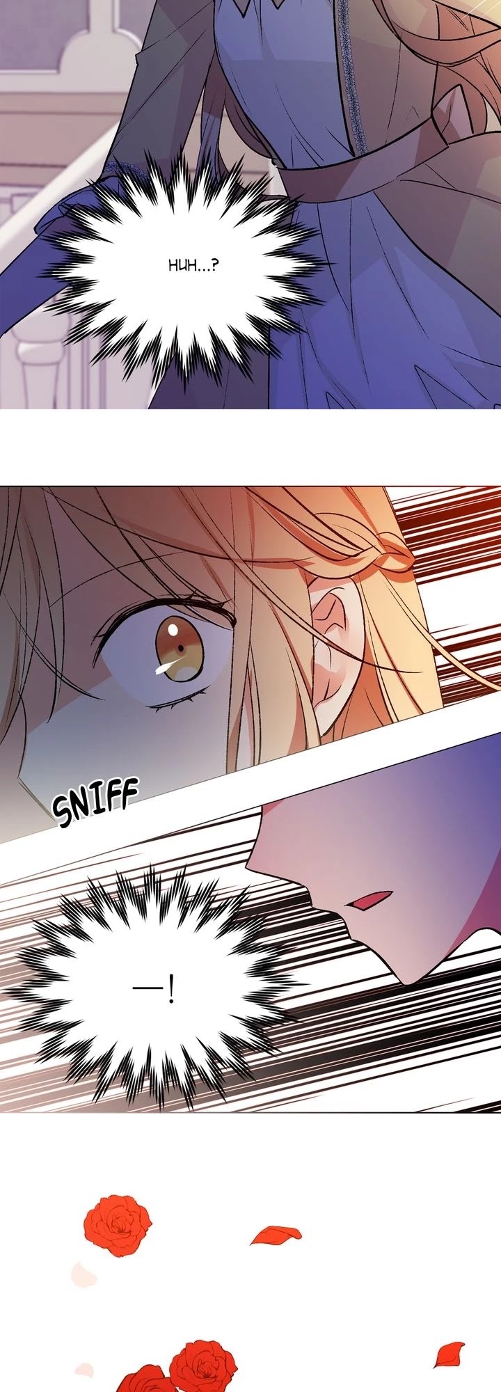 Cat's Bride Chapter 44 page 25 - Chapter 44