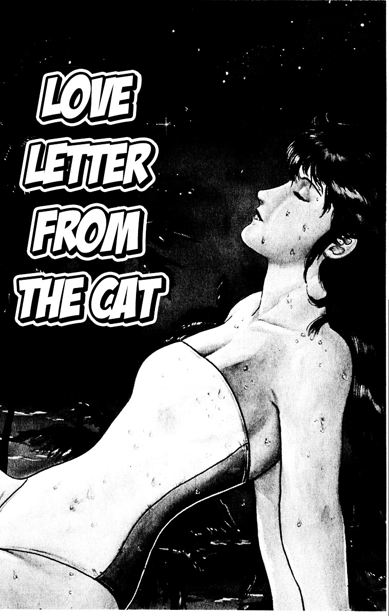 Cat's Eye Chapter 45.2 page 2 - Chapter 45v2 : Love Letter from the Cat