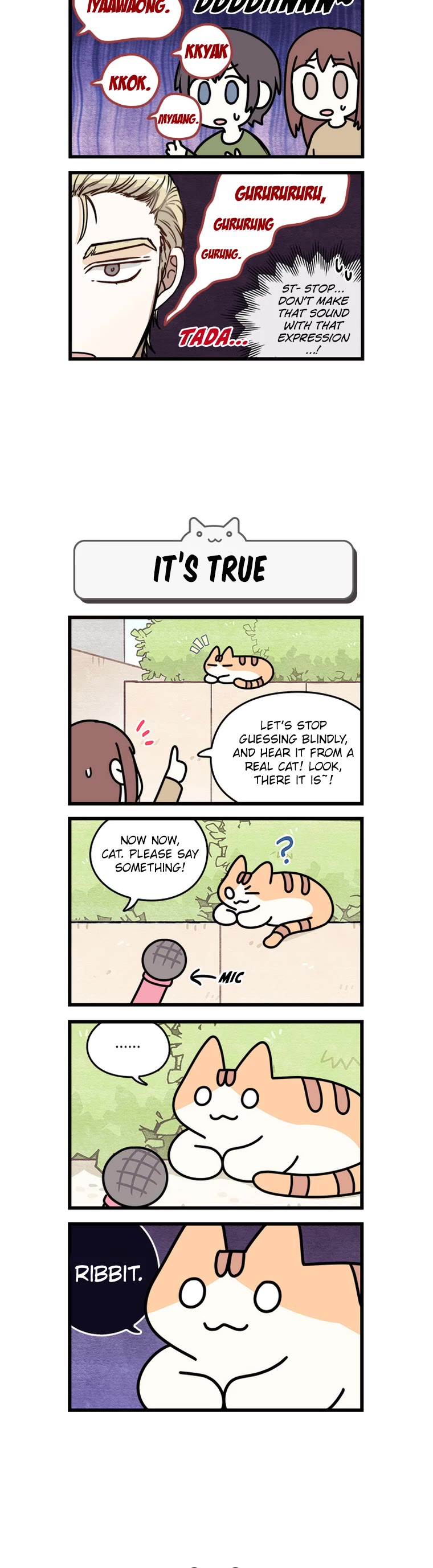Cats Own the World Chapter 105 page 4 - Chapter 105