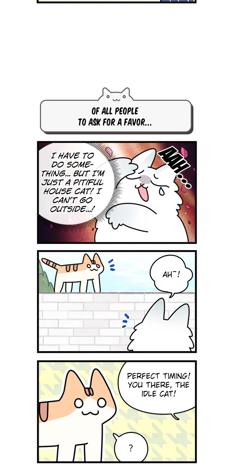 Cats Own the World Chapter 106 page 5 - Chapter 106