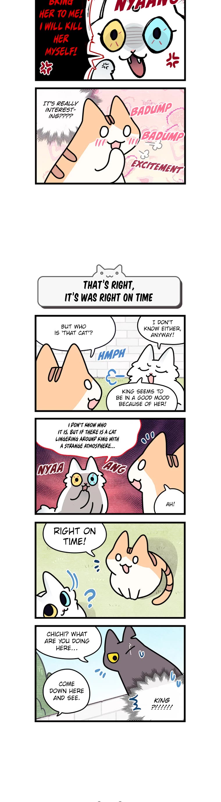 Cats Own the World Chapter 107 page 4 - Chapter 107
