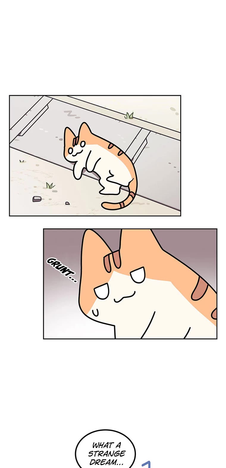 Cats Own the World Chapter 116 page 12 - Chapter 116