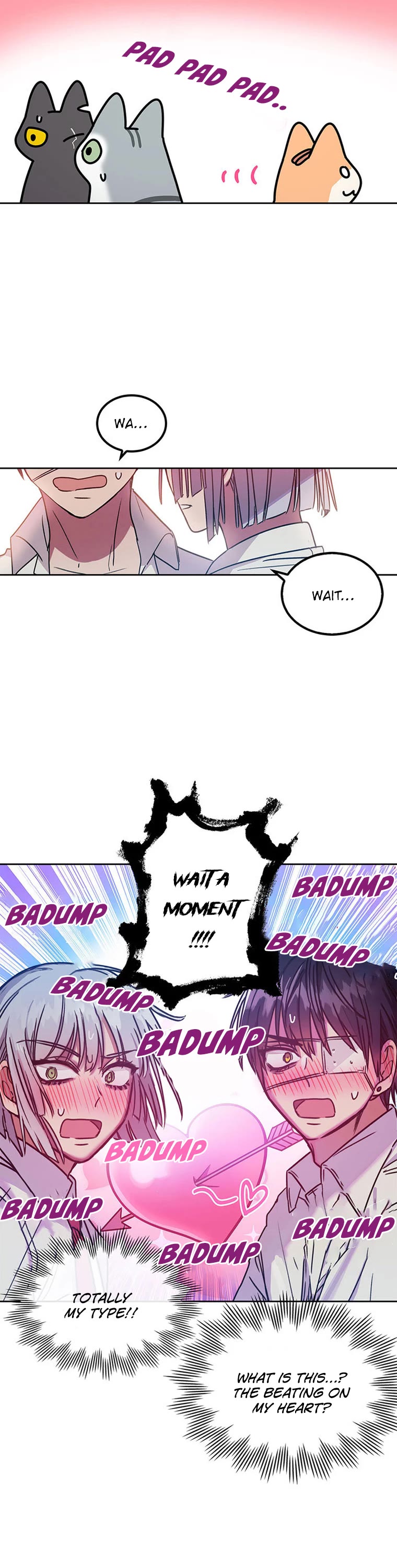 Cats Own the World Chapter 116 page 8 - Chapter 116