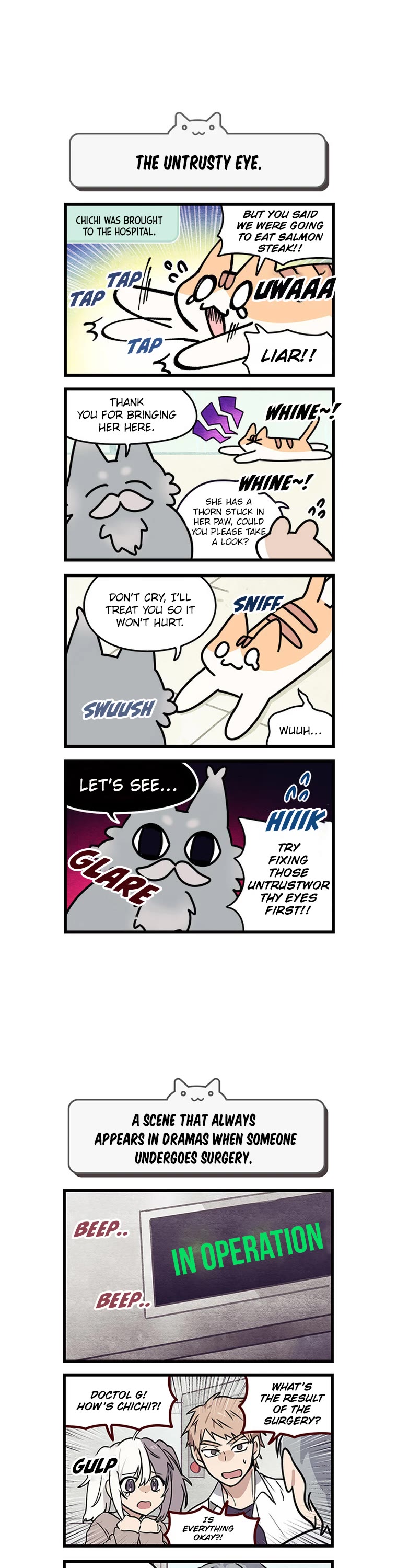 Cats Own the World Chapter 122 page 3 - Chapter 122