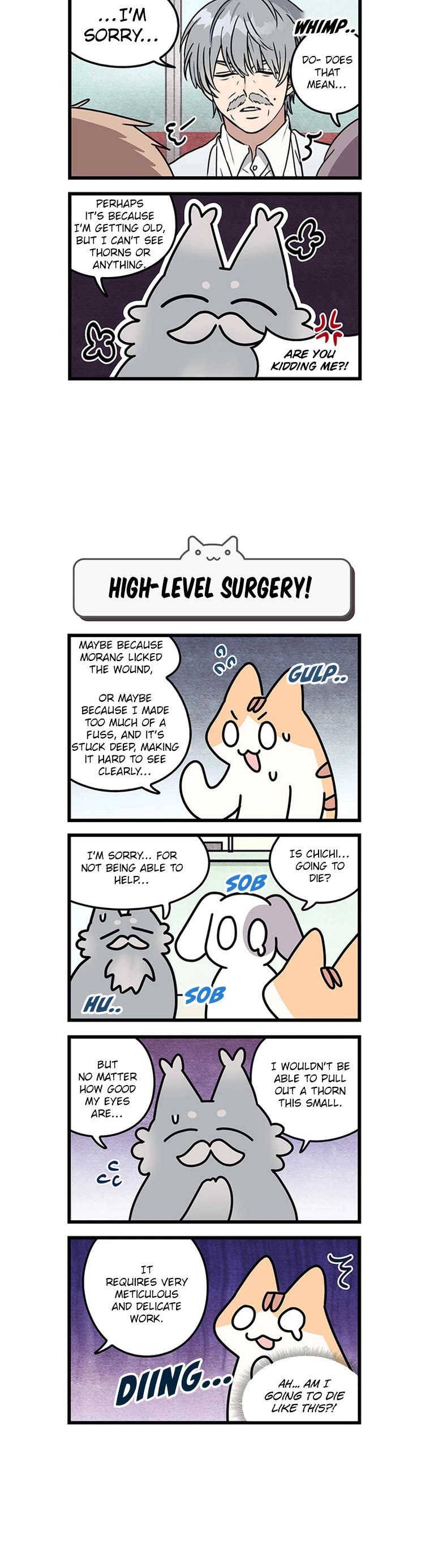Cats Own the World Chapter 122 page 4 - Chapter 122
