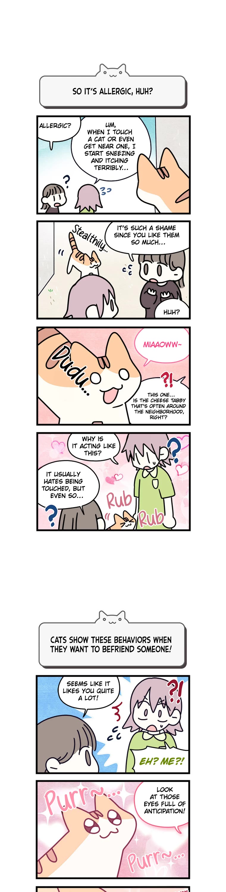 Cats Own the World Chapter 146 page 3 - Chapter 146