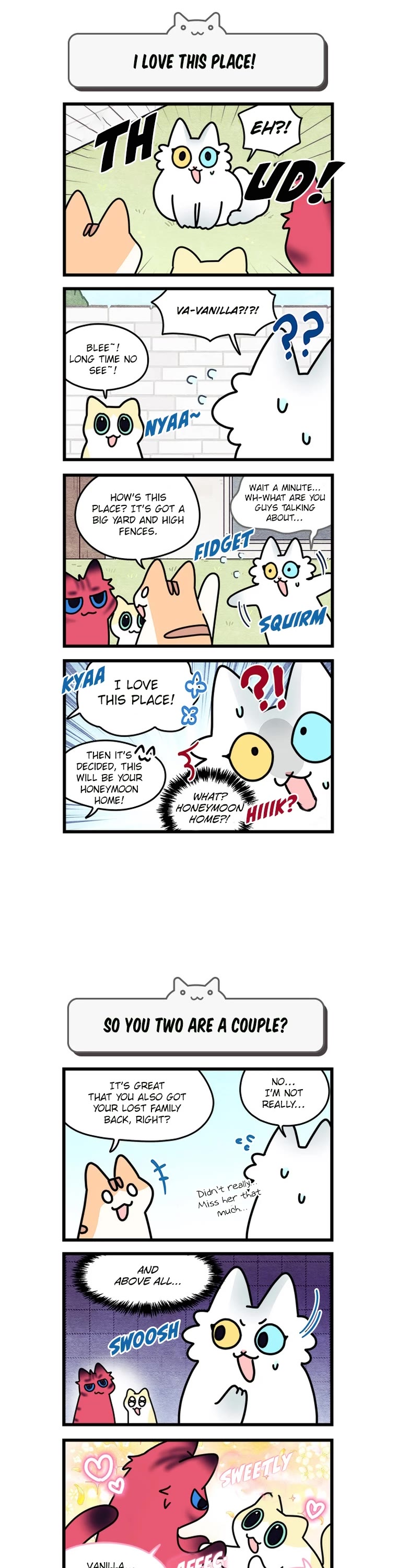 Cats Own the World Chapter 155 page 3 - Chapter 155