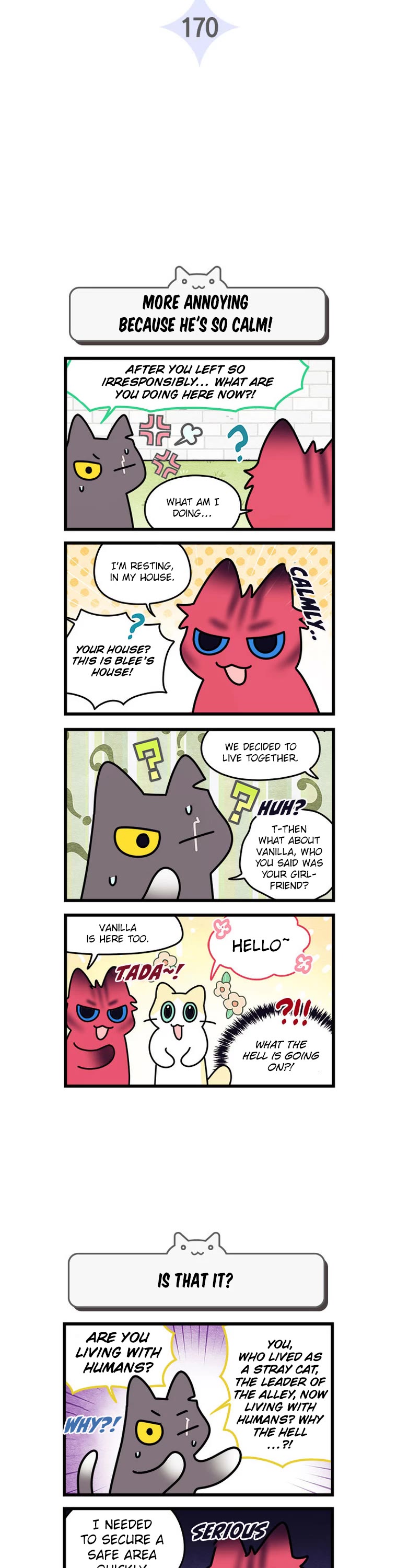 Cats Own the World Chapter 170 page 3 - Chapter 170