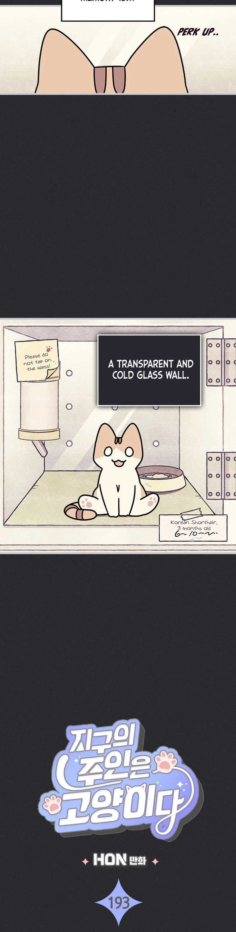 Cats Own the World Chapter 193 page 3 - Chapter 193