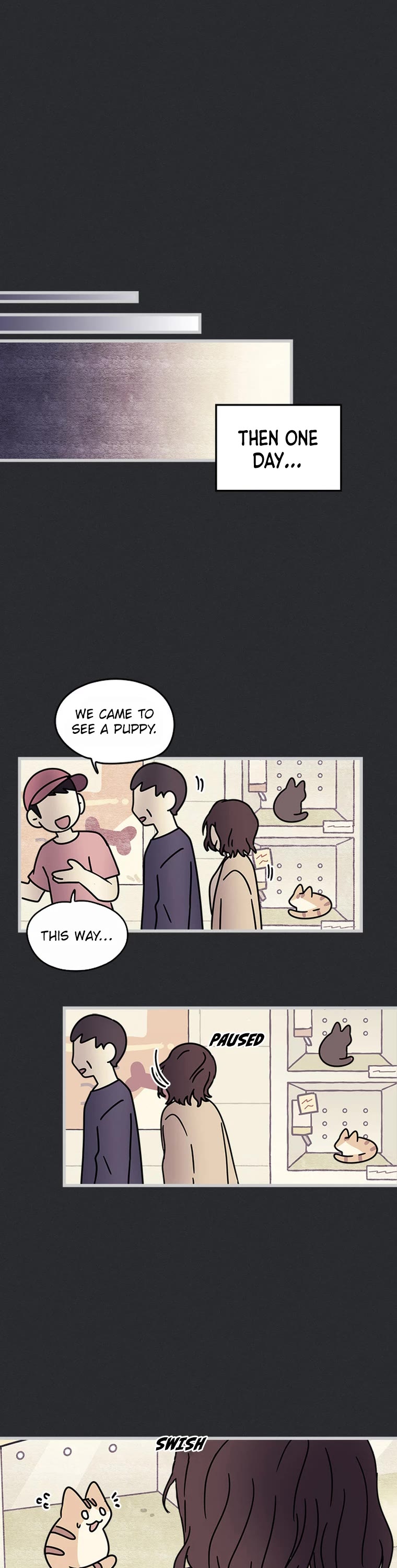 Cats Own the World Chapter 193 page 6 - Chapter 193