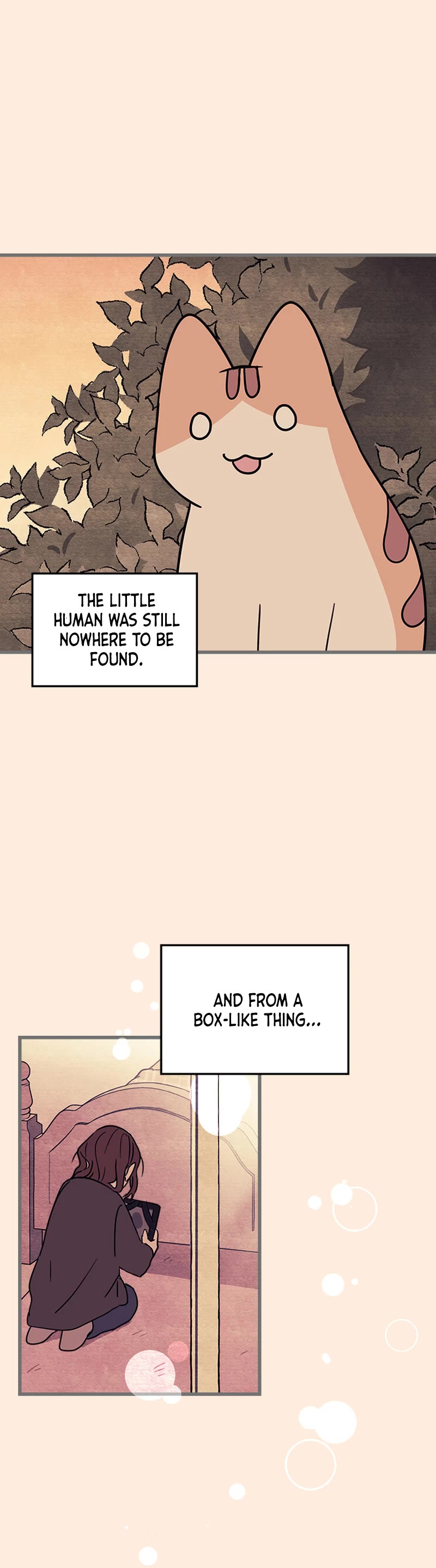 Cats Own the World Chapter 198 page 5 - Chapter 198