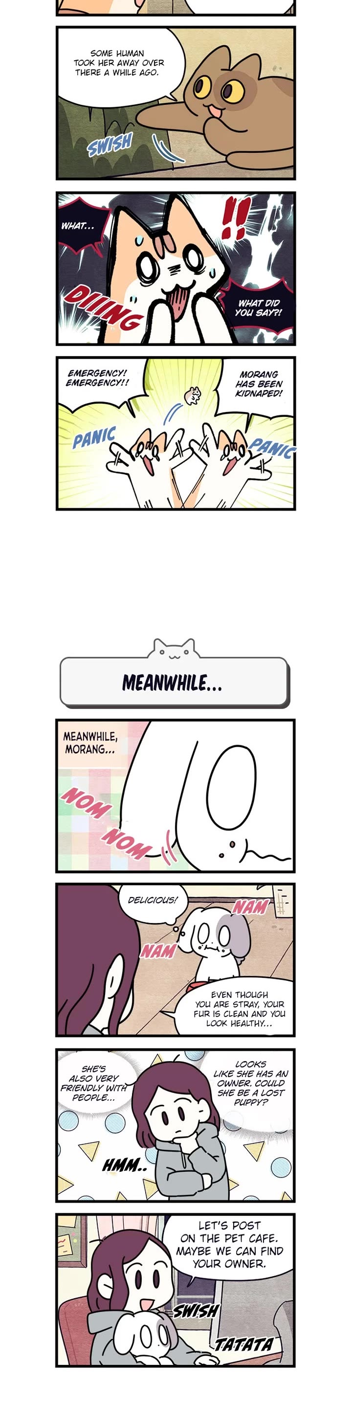 Cats Own the World Chapter 200 page 3 - Chapter 200: Side Chapter 1