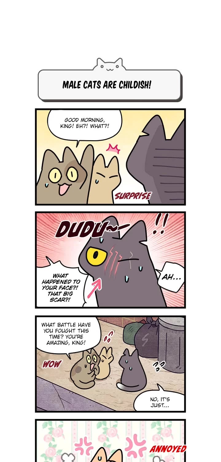 Cats Own the World Chapter 206 page 6 - Chapter 206: Side Chapter 7