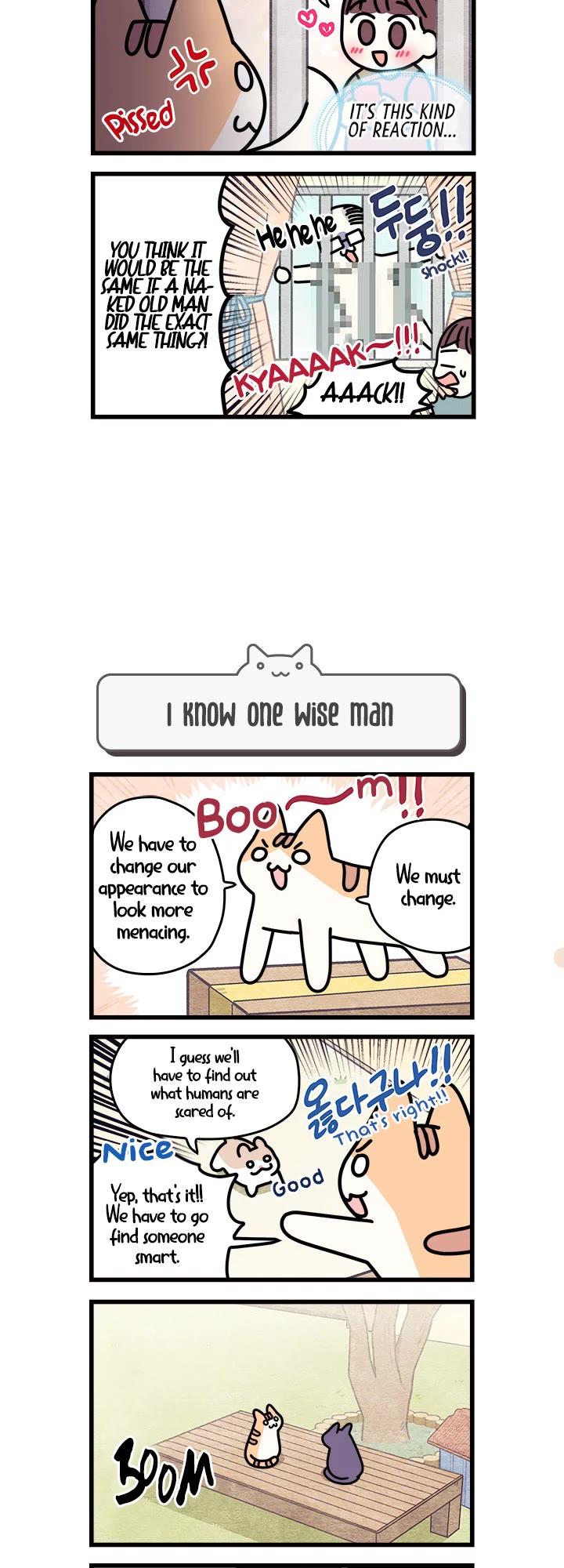 Cats Own the World Chapter 35 page 3 - Chapter 35