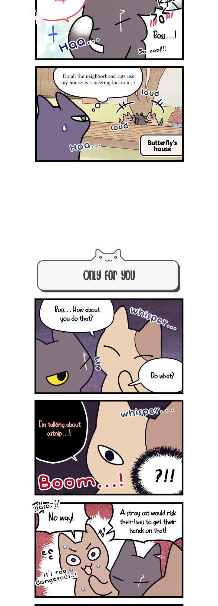 Cats Own the World Chapter 37 page 3 - Chapter 37