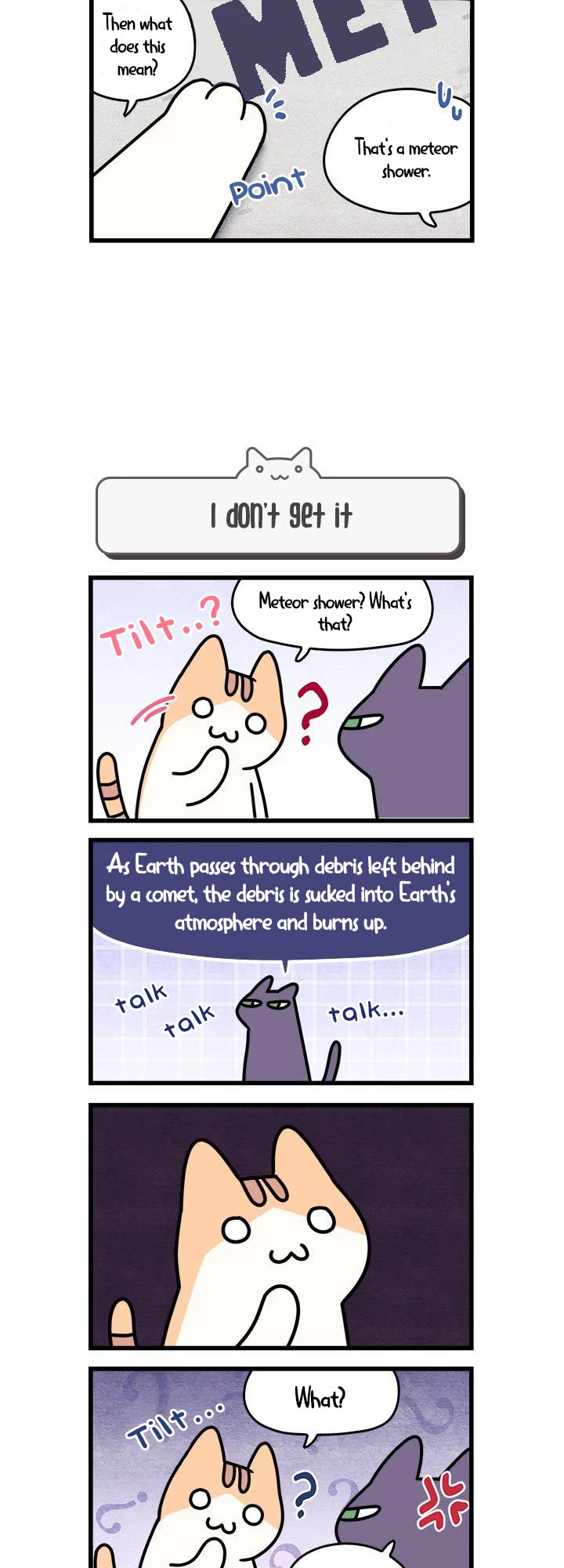 Cats Own the World Chapter 39 page 4 - Chapter 39